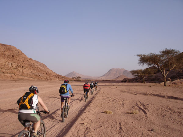 Die Wste Sinai mit dem Bike durchqueren...